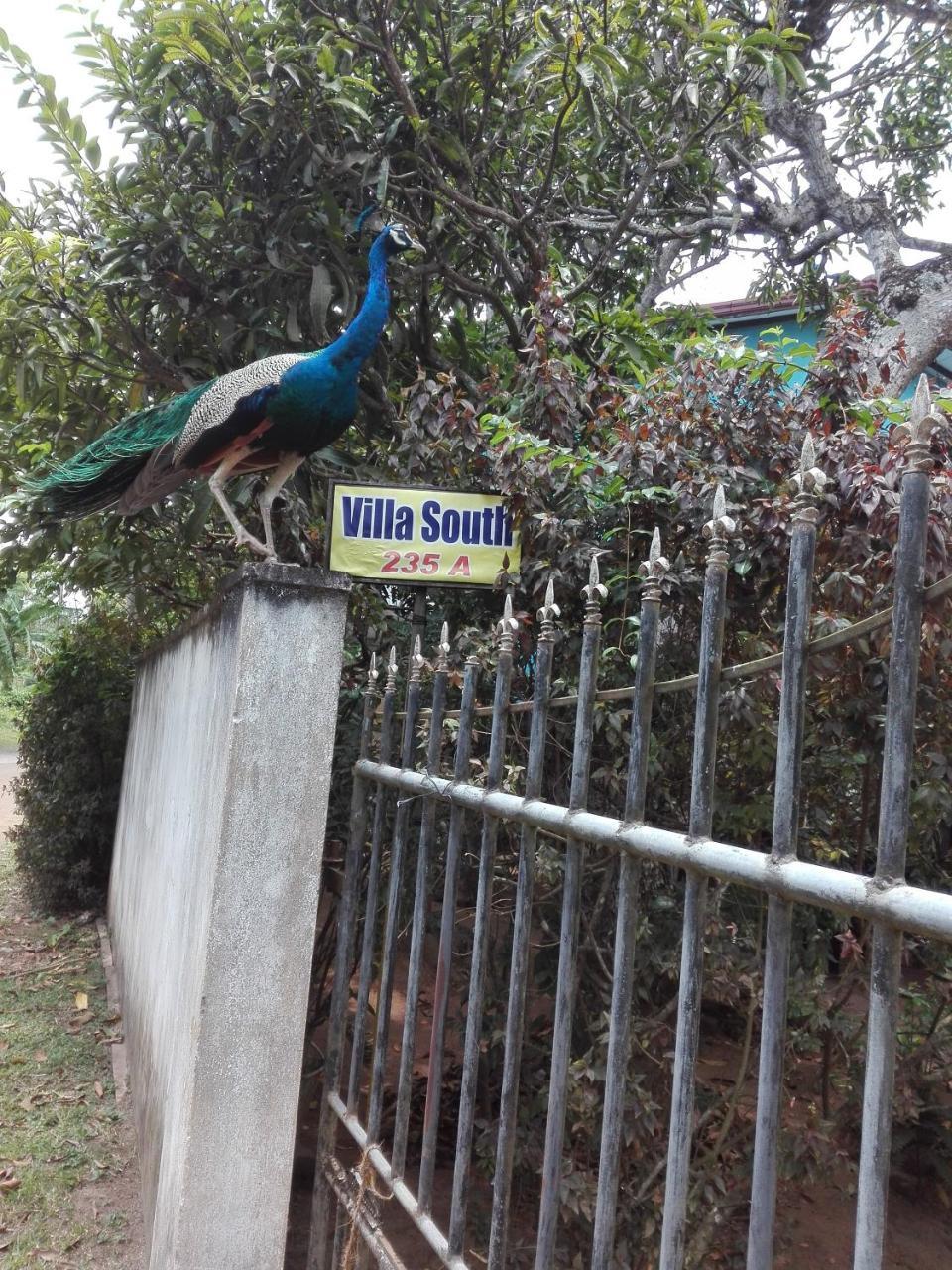 Weligama Villa South Exteriör bild